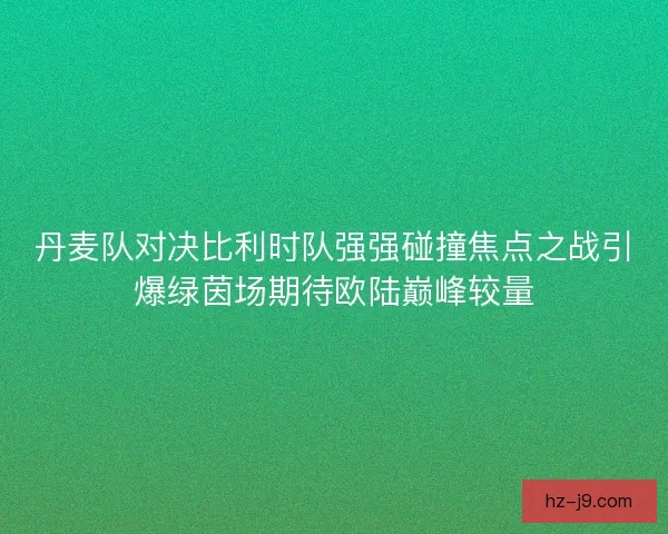 丹麦队对决比利时队强强碰撞焦点之战引爆绿茵场期待欧陆巅峰较量 丹麦队对决比利时队强强碰撞焦点之战引爆绿茵场期待欧陆巅峰较量